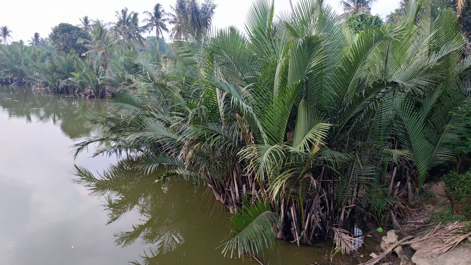 IMG_20230415_182710.jpg