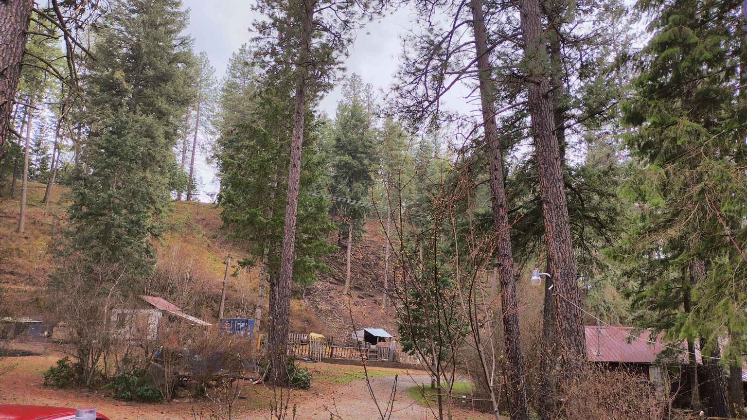 IMG_20230424_131324_HDR.jpg