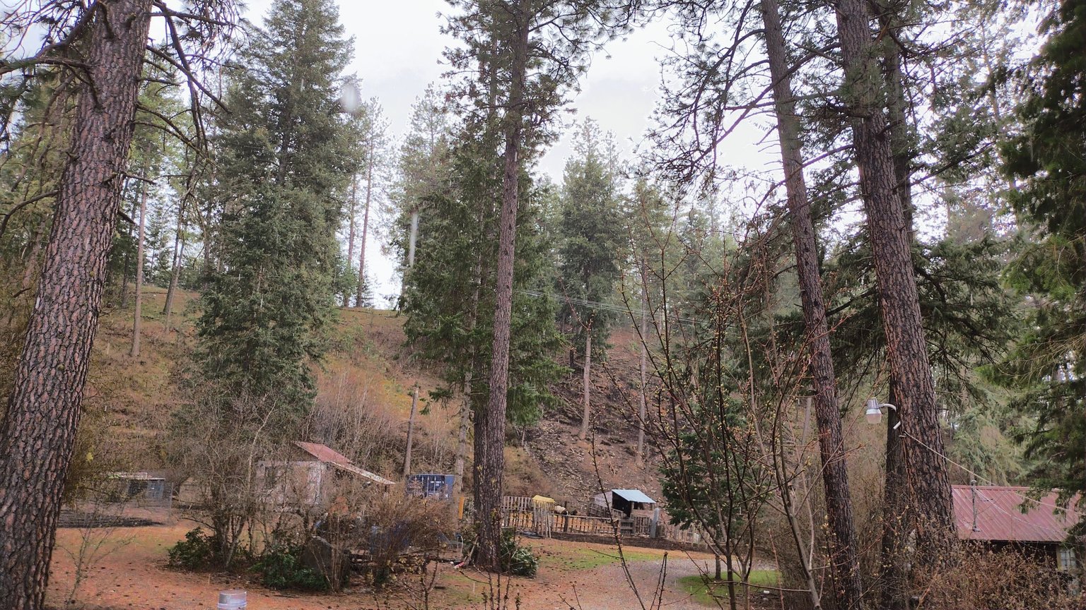 IMG_20230424_144656_HDR.jpg