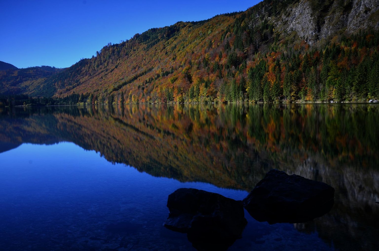 DSC_0593.JPG