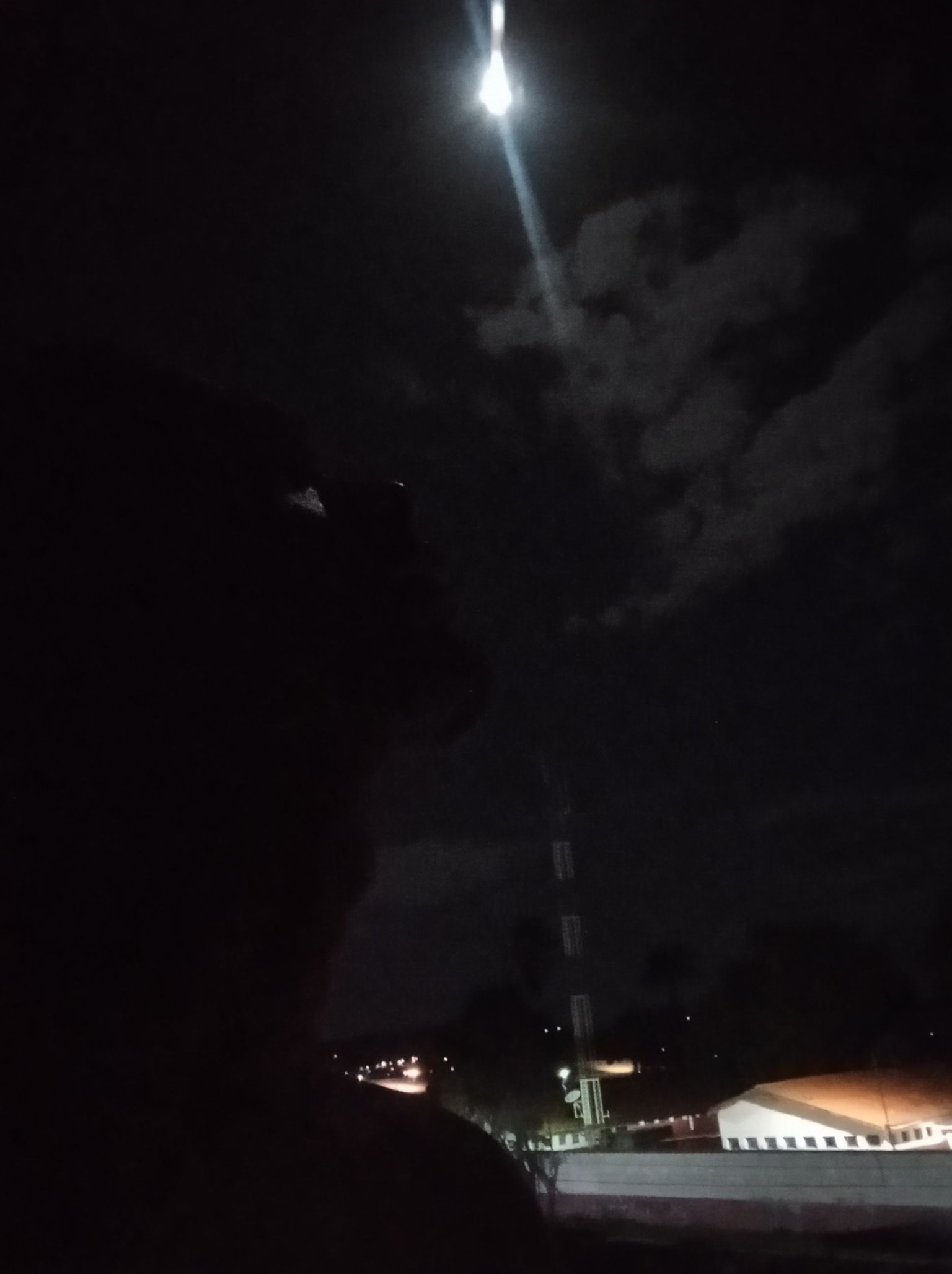 IMG_20240125_221631.jpg