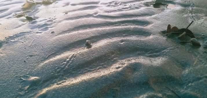 received_186050350927854.jpeg