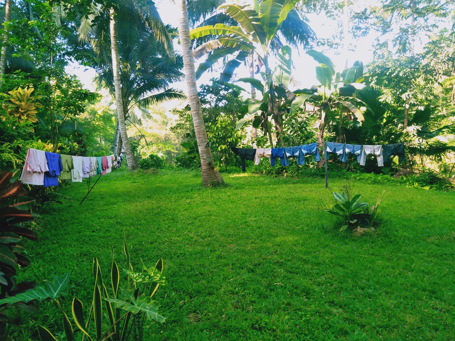 IMG20230326072720.jpg