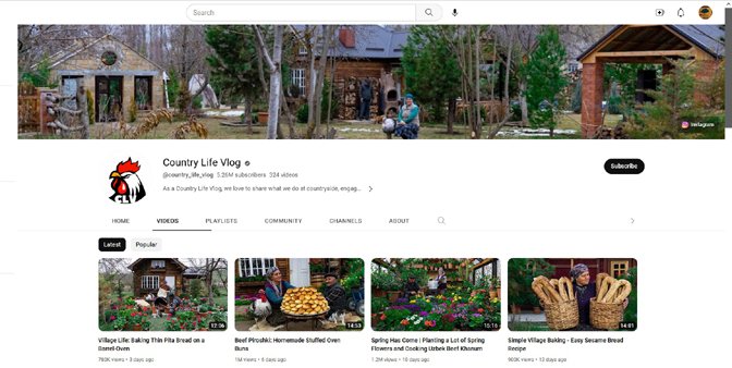 Country Living Vlog.jpg