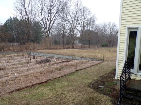 Not see snow crop March 2023.jpg
