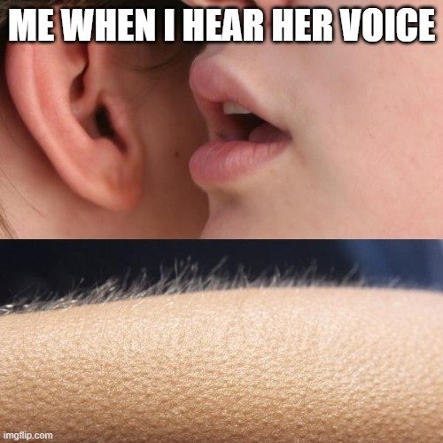voice.jpg