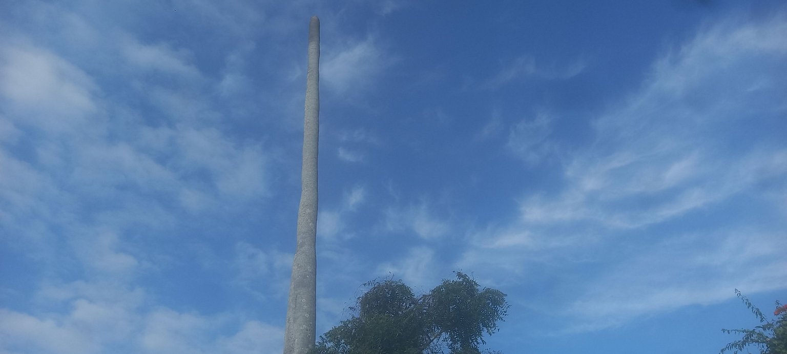 1000153564.jpg
