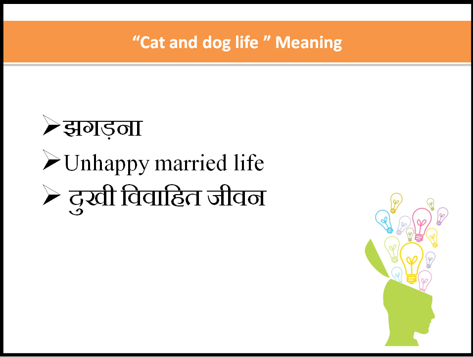 a cat and dog life idiom meaning