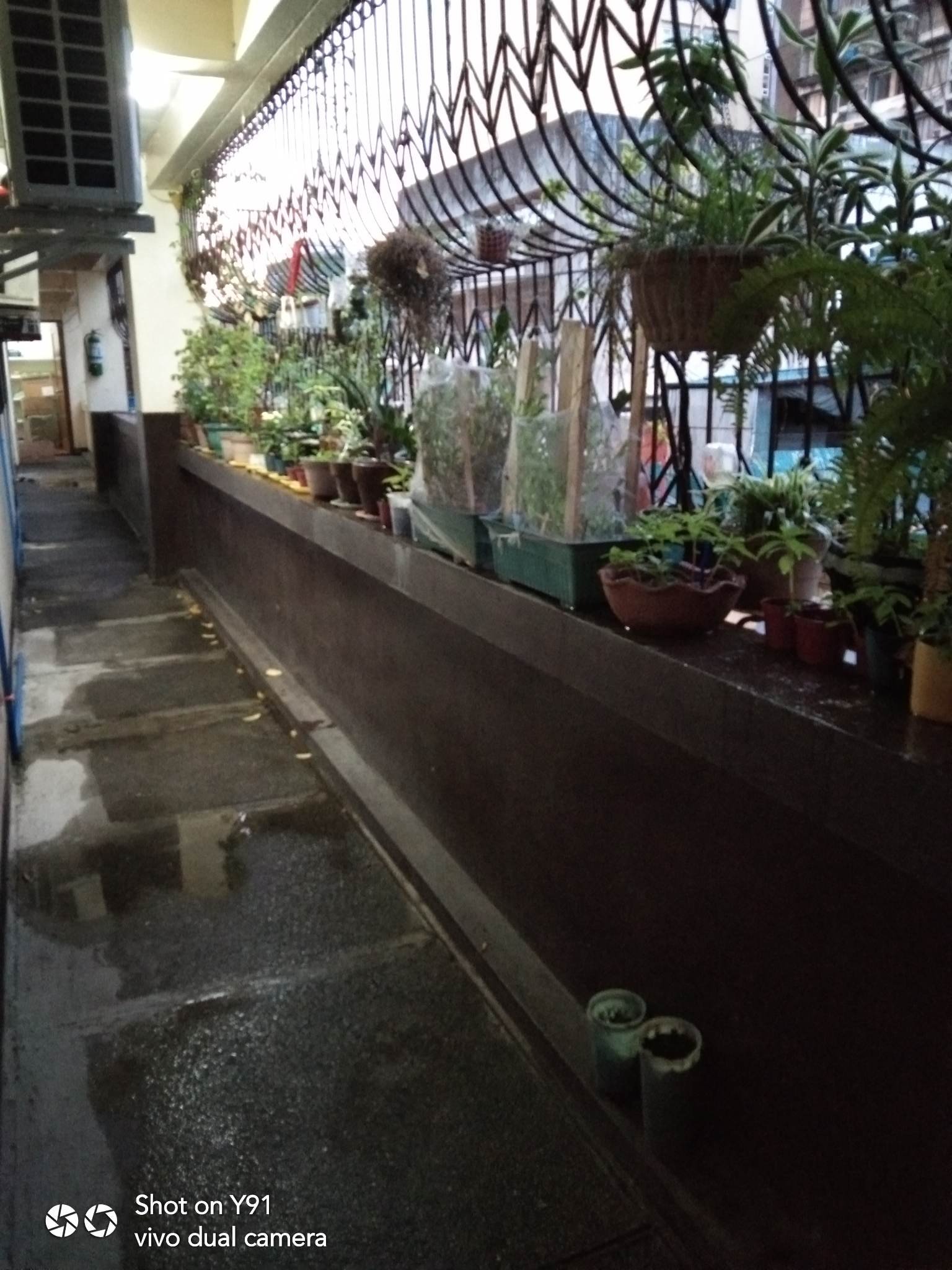 midweek downpour.jpg