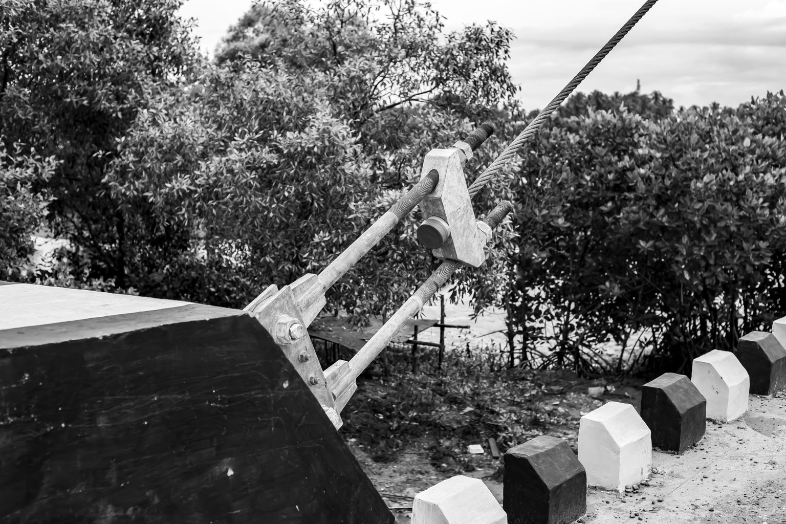 7 IMG_2733 copy.jpg