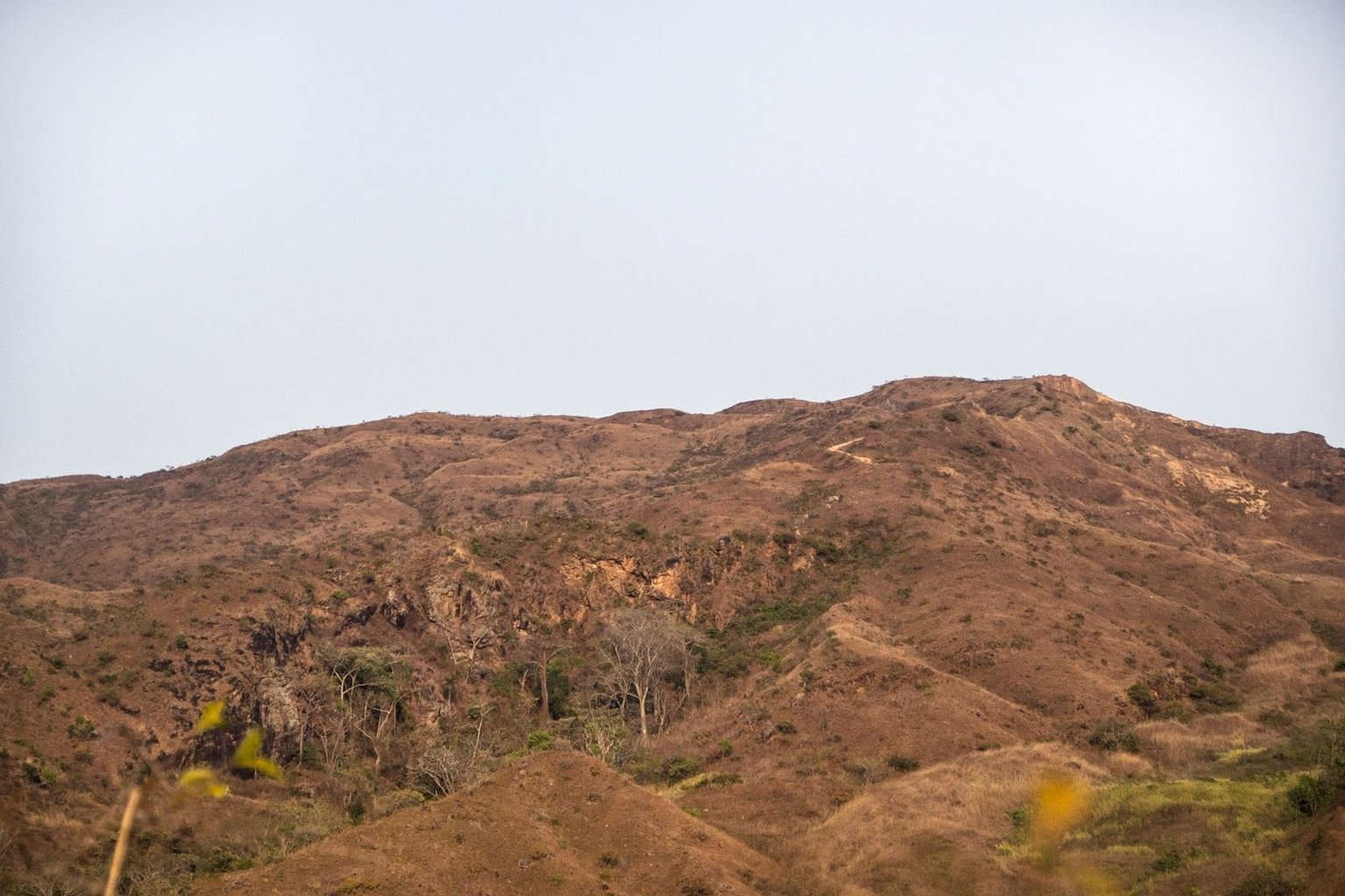 C07.jpg