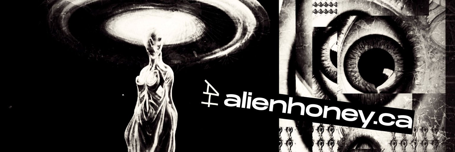 signal_twitter_banner.jpg
