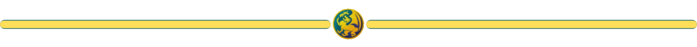 LG_Divider_trans.png