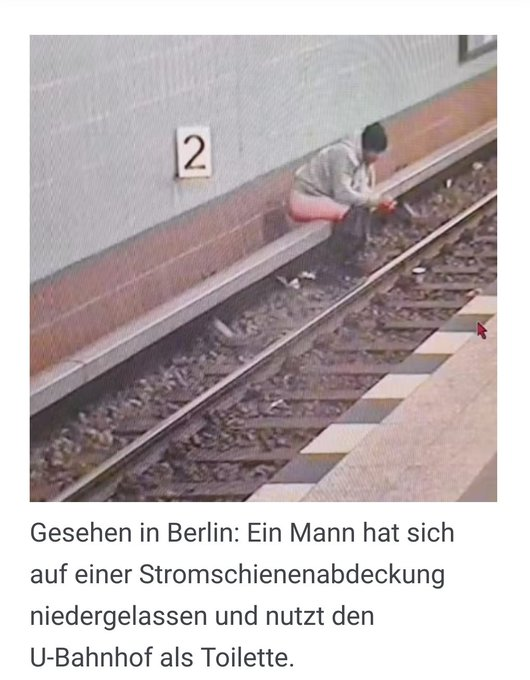 grafik.png