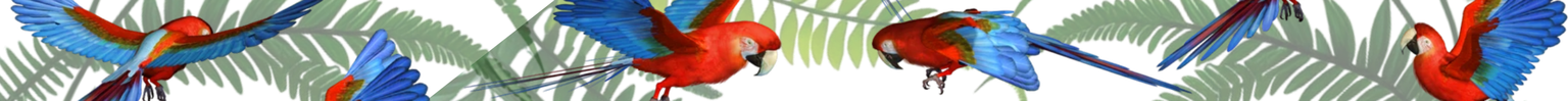 $1