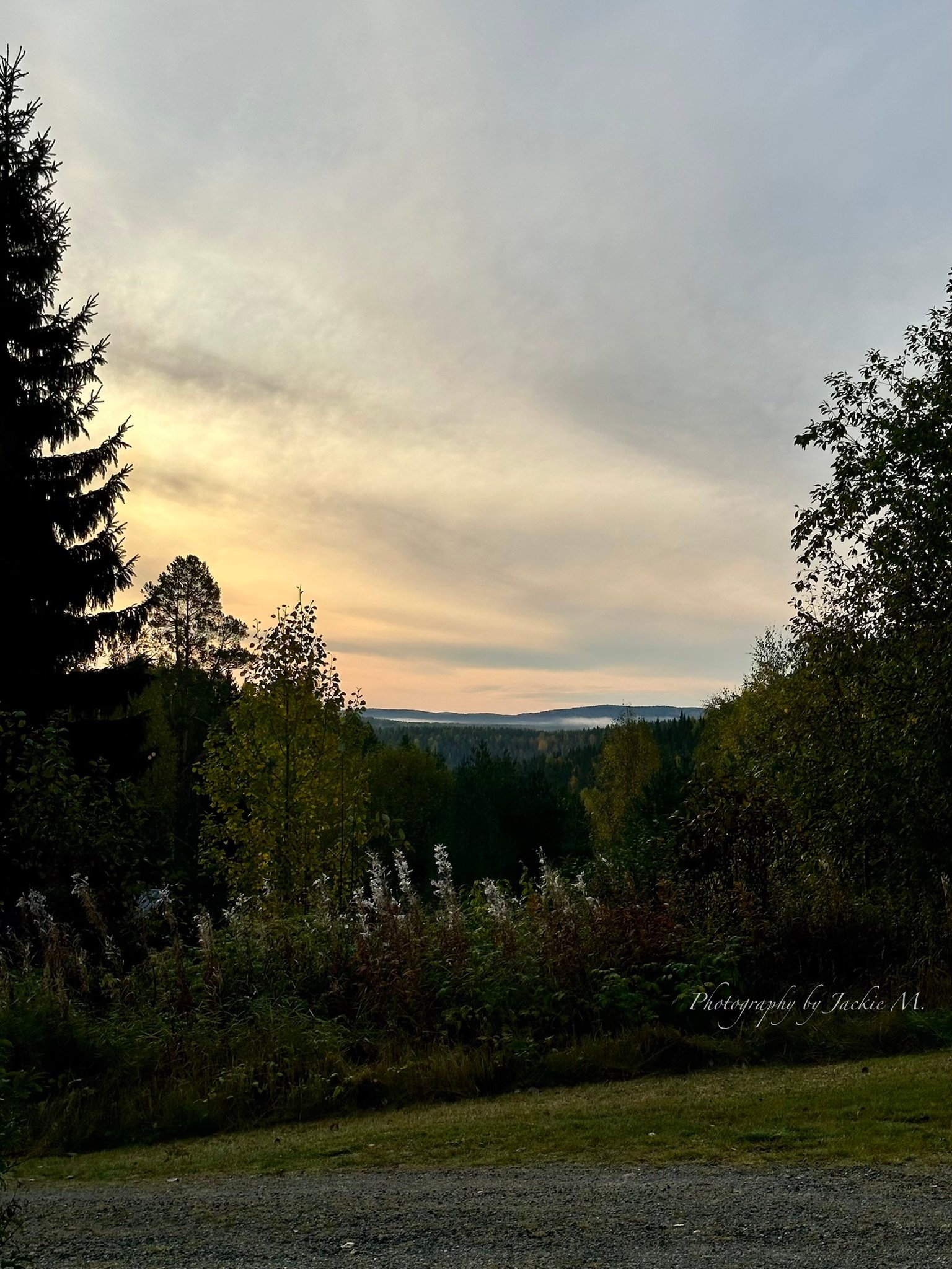 IMG_3761.jpeg