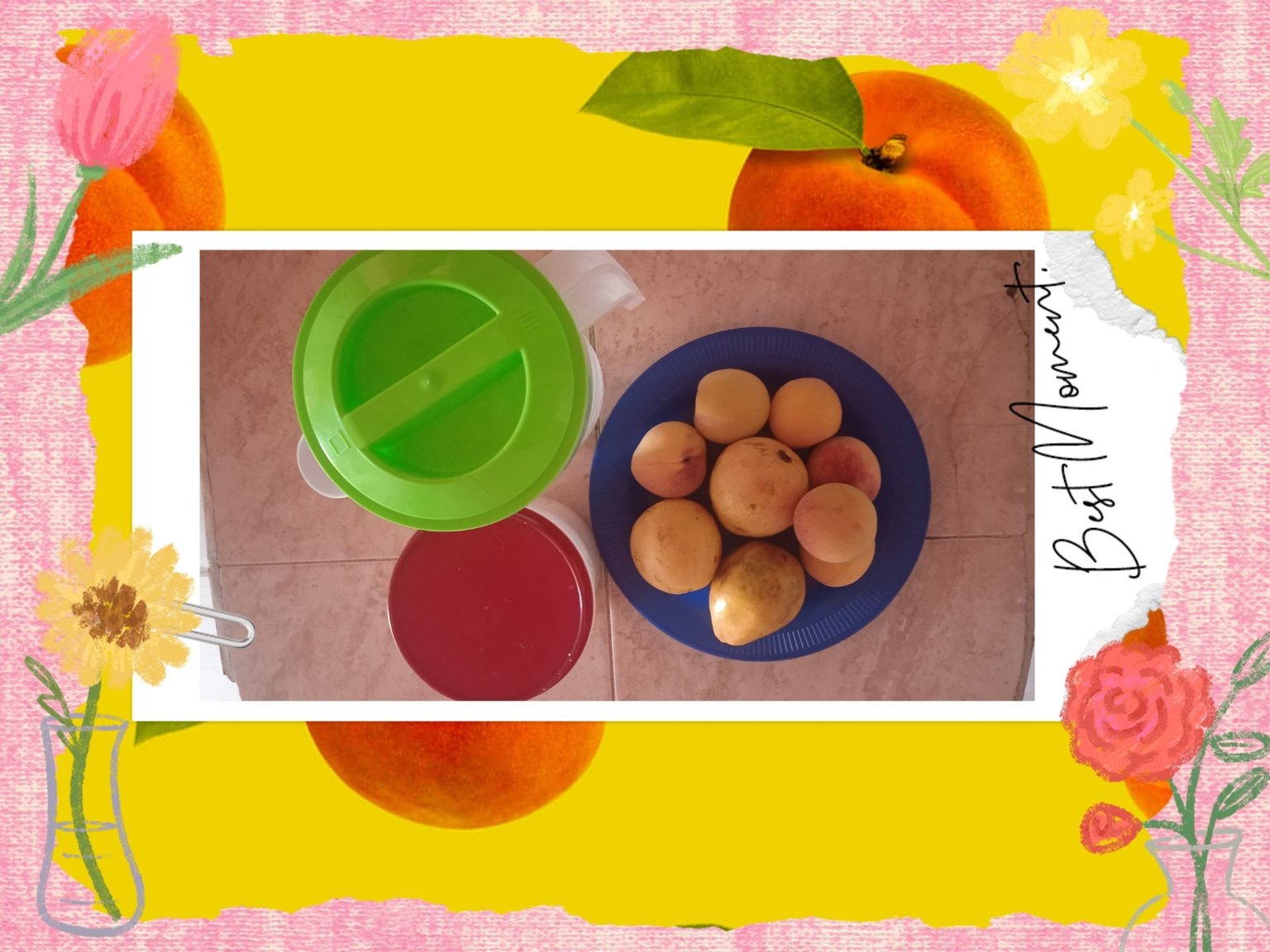 photocollage_2025398331233.jpg