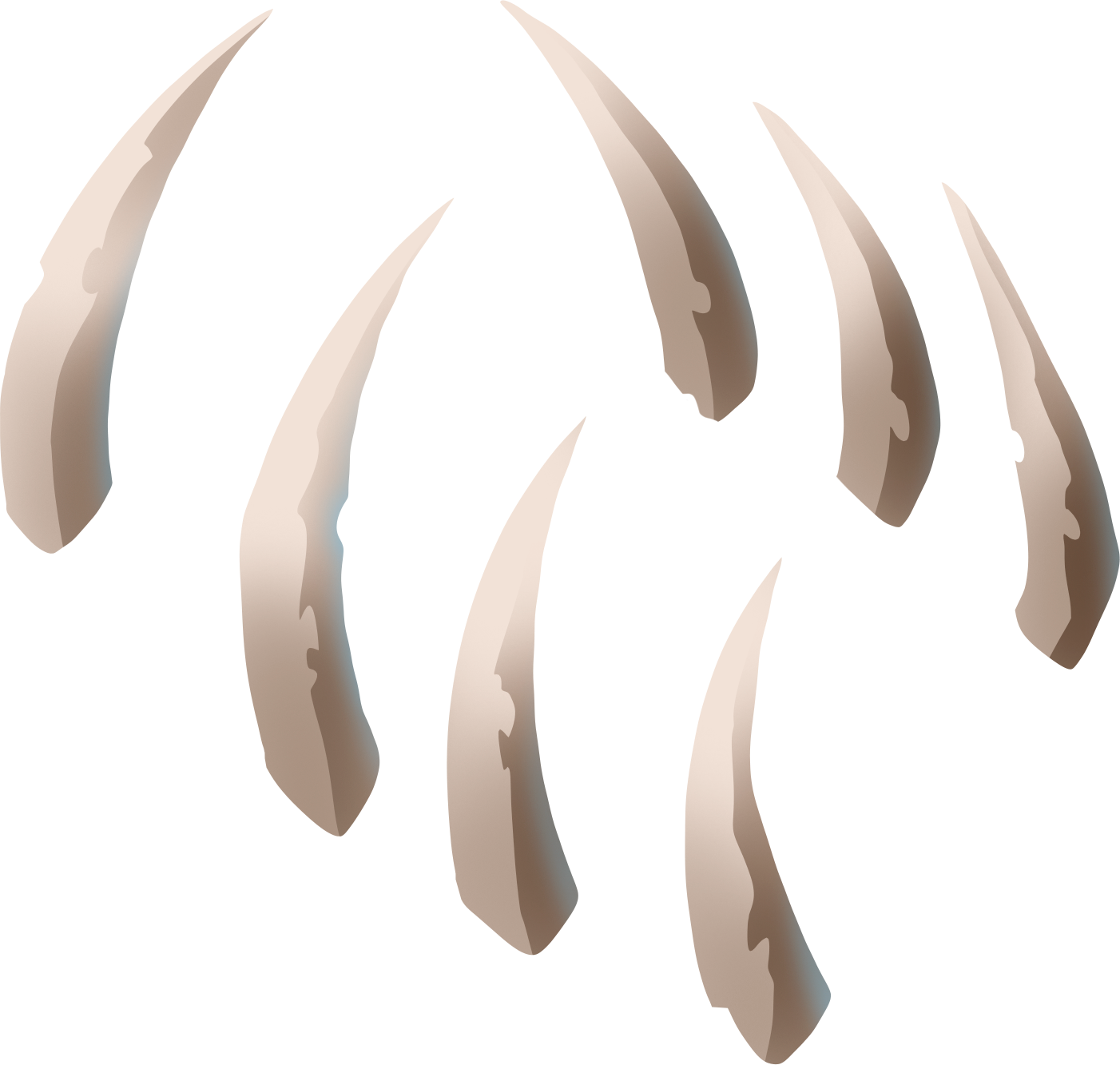 costillas.png