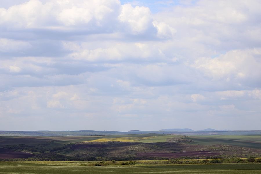 Roadside_in_May_001_s.jpg