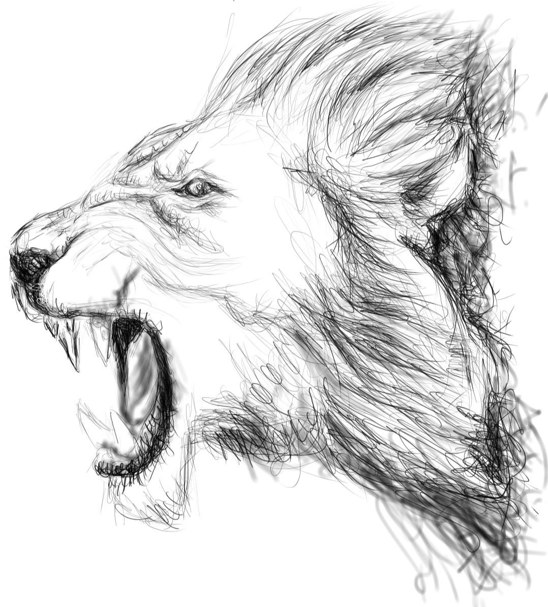 Roar (a sketchbook page) : r/drawing