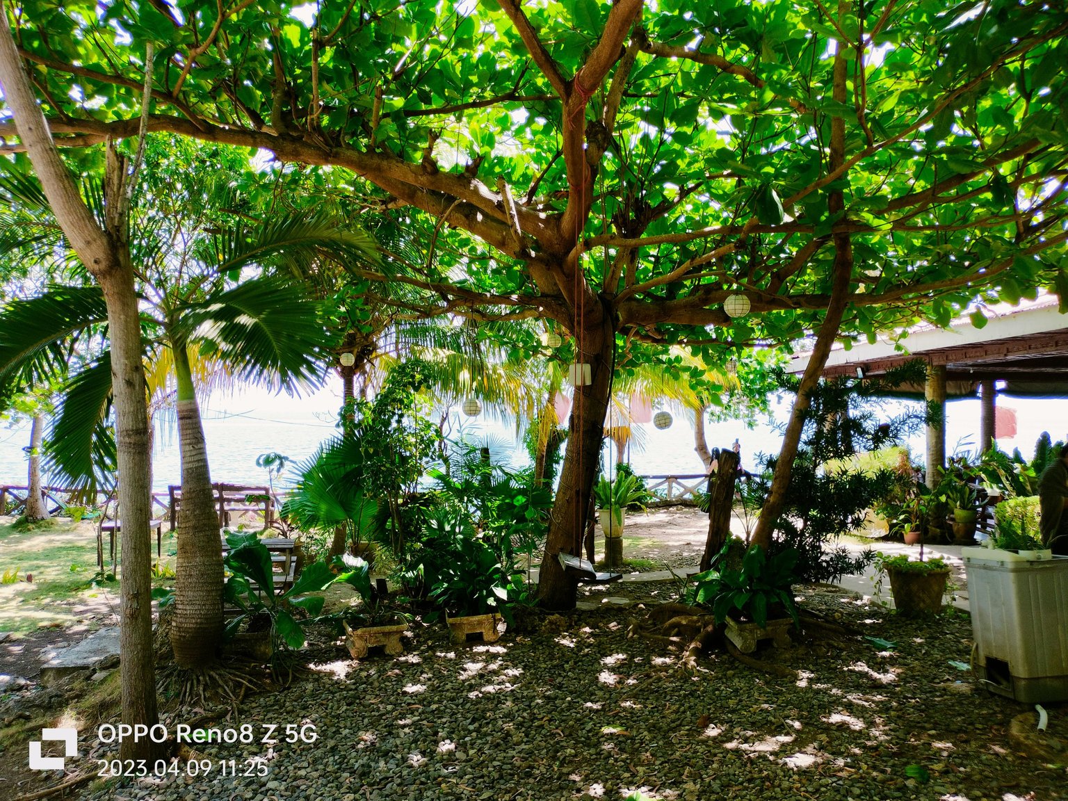 IMG20230409112516~2.jpg