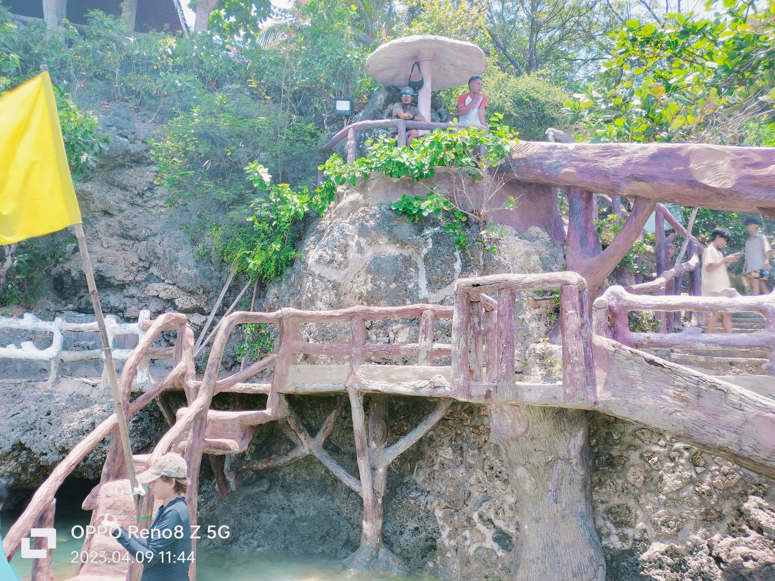 IMG20230409114421~2.jpg