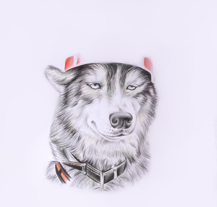 8.png