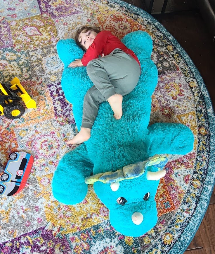 We found this giant plush dino at Ross. We watched them sell out of these