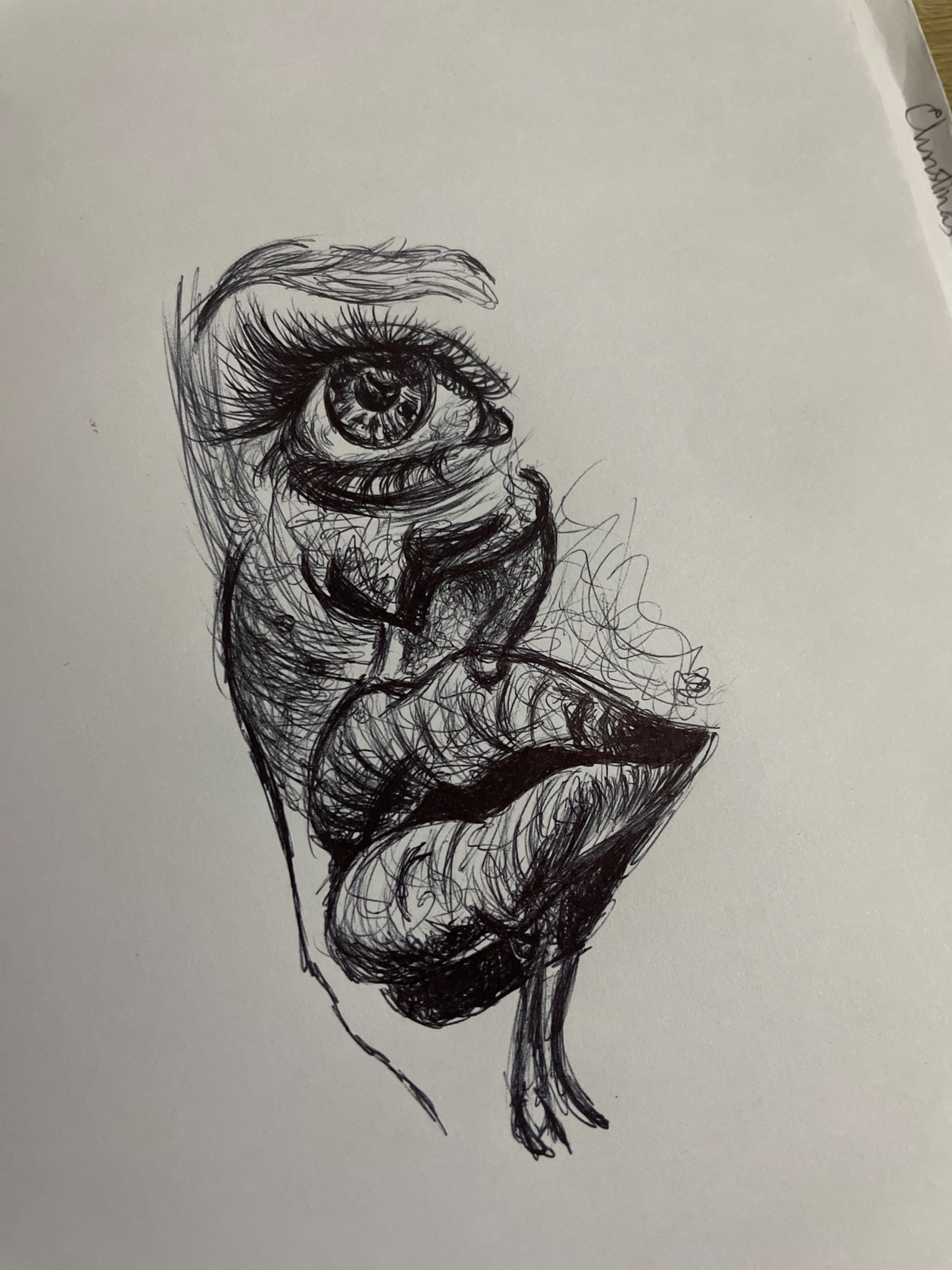 IMG_6646.jpeg