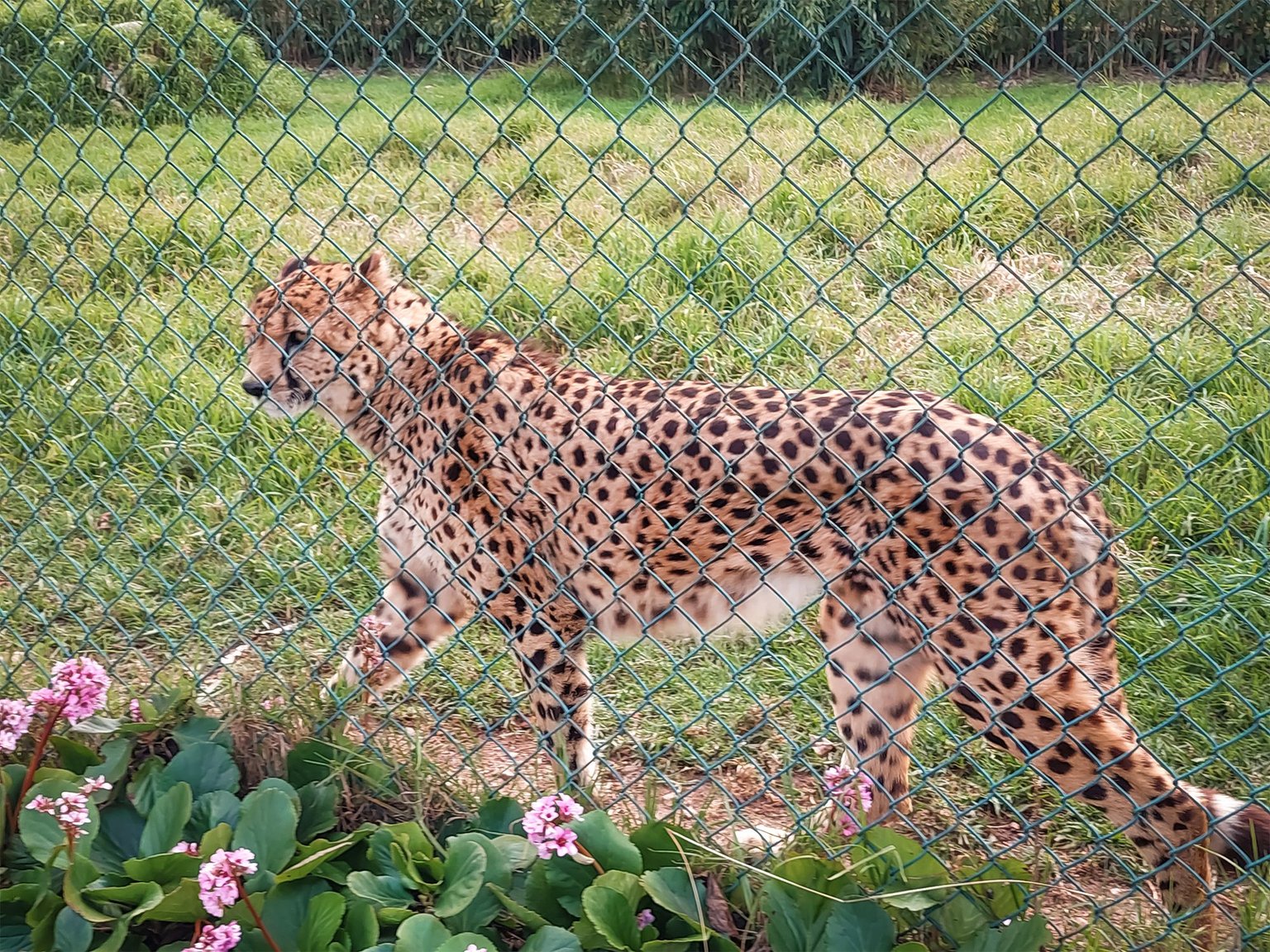 20250223_165126.jpg