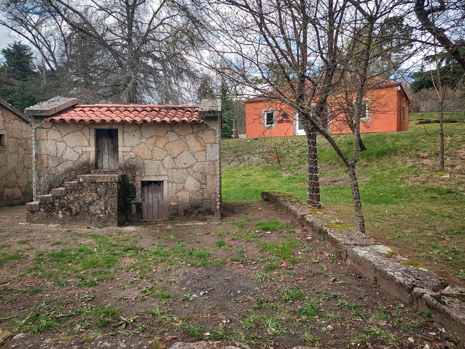 20250302_151339.jpg
