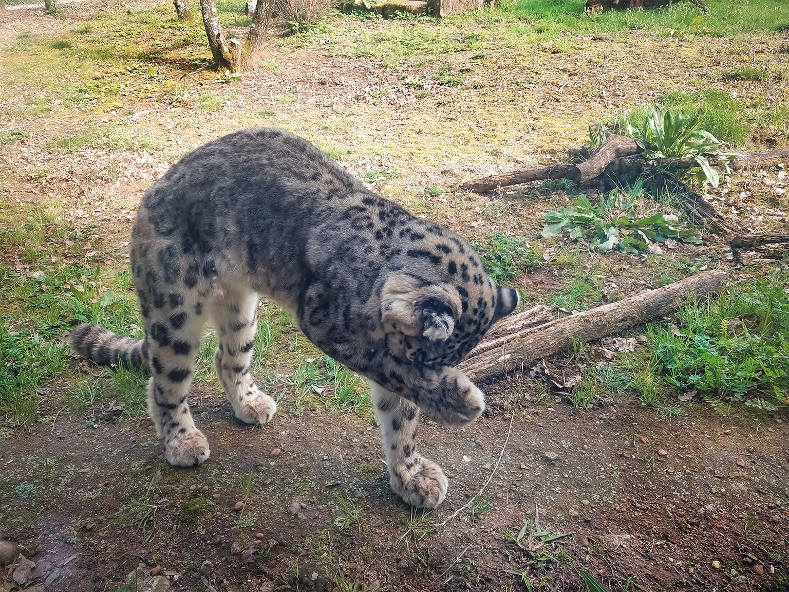 20250223_151413.jpg