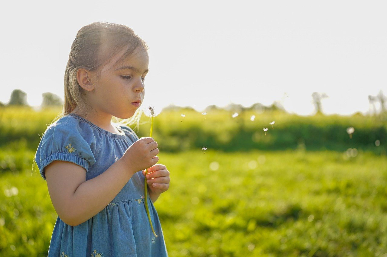 dandelion-7227663_1280.jpg