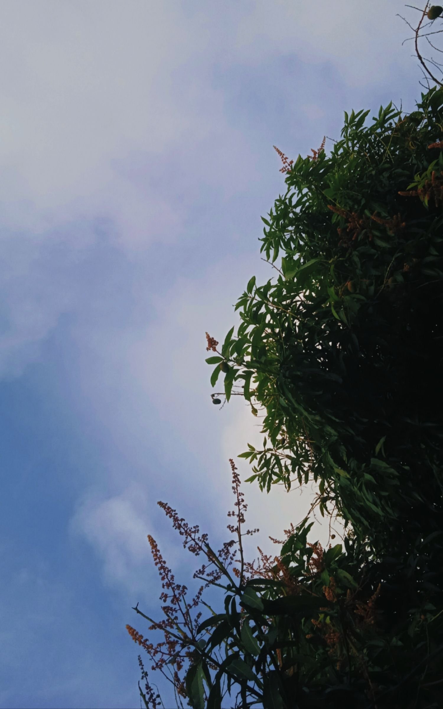 IMG_20230410_075710.jpg
