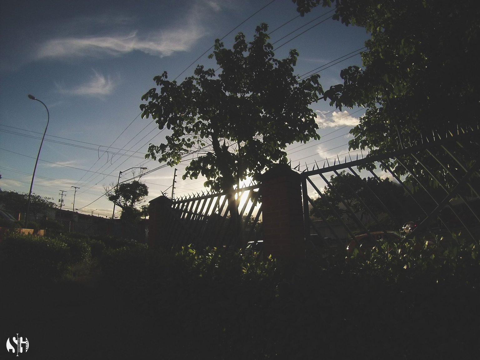 G0317300.jpg