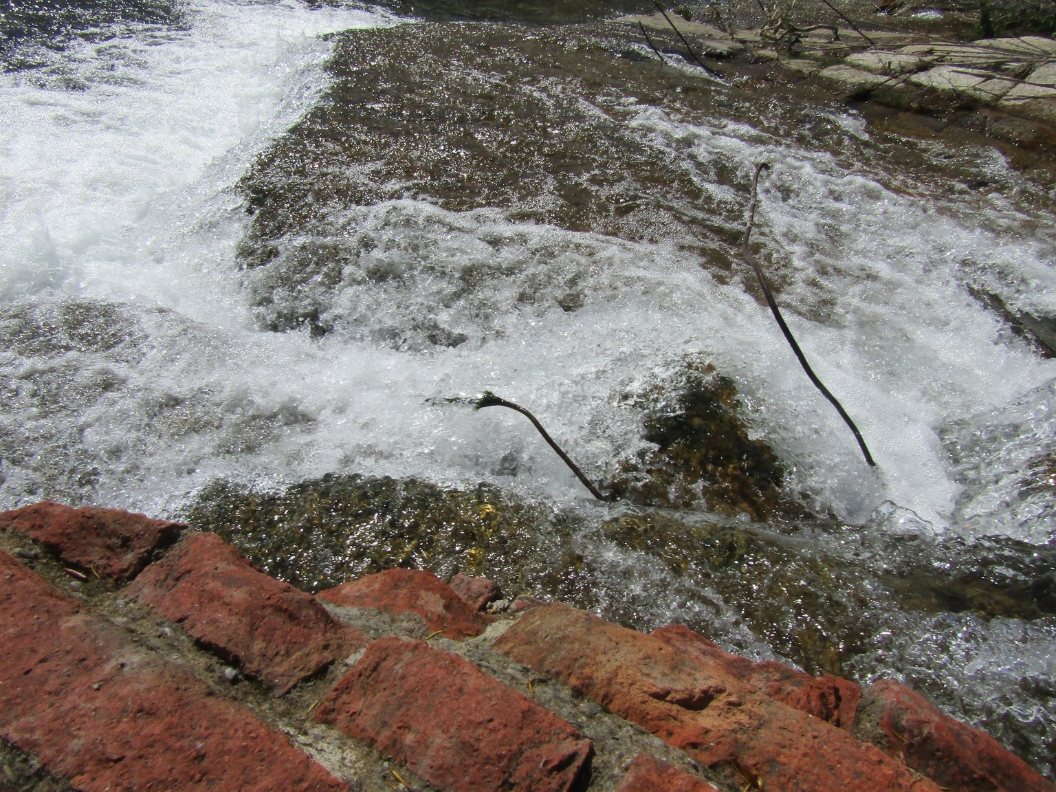 IMG_9769.JPG