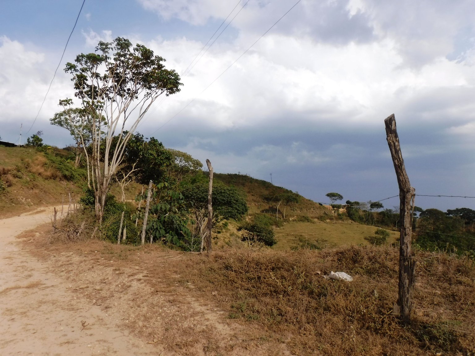 DSCF7950.JPG