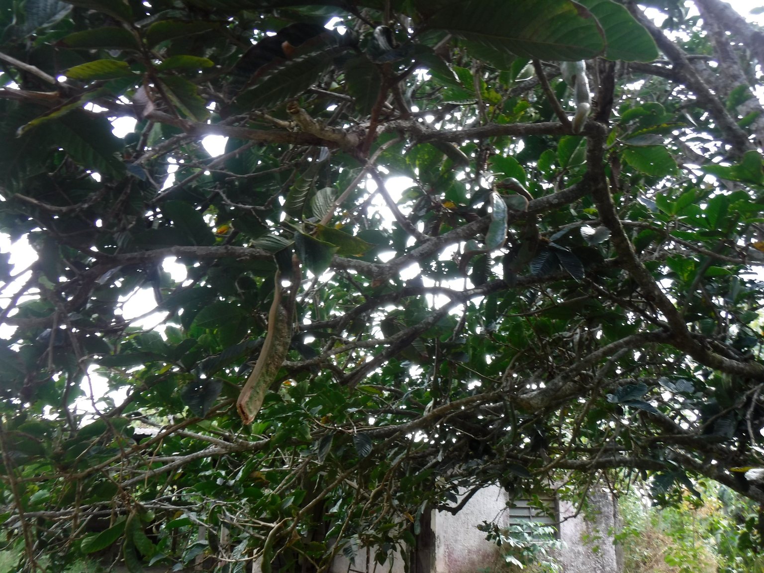 DSCF7924.JPG