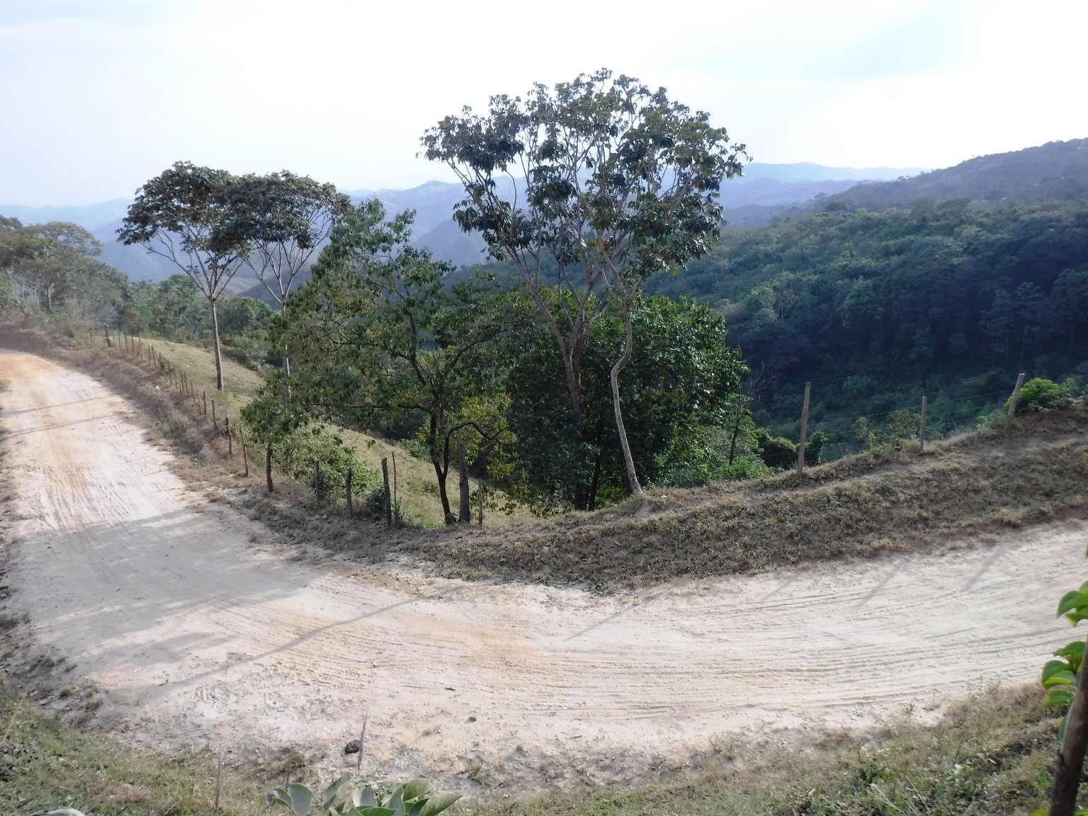 DSCF7953.JPG
