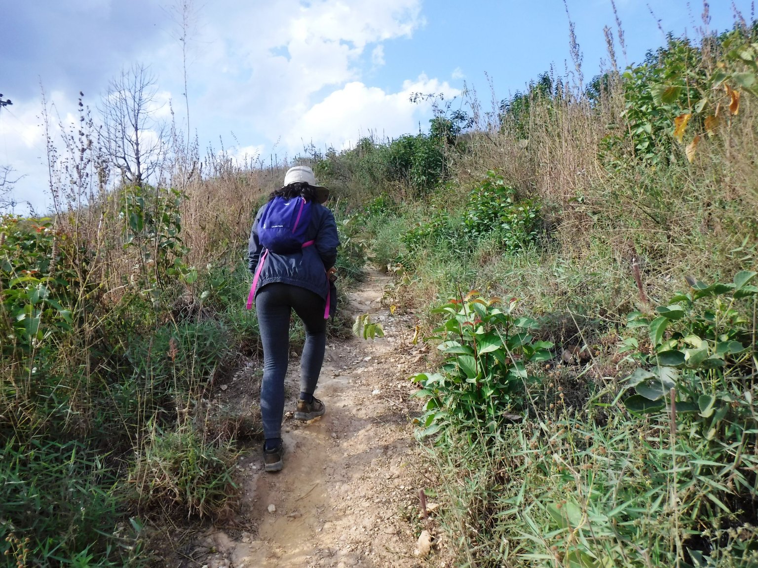 DSCF7955.JPG