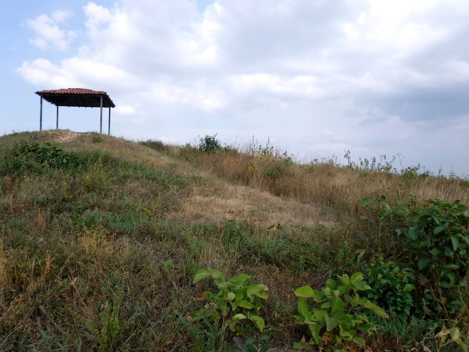DSCF7956.JPG