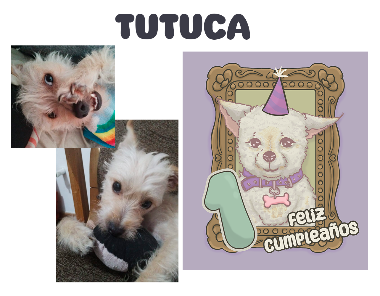 Tutuca hive.png