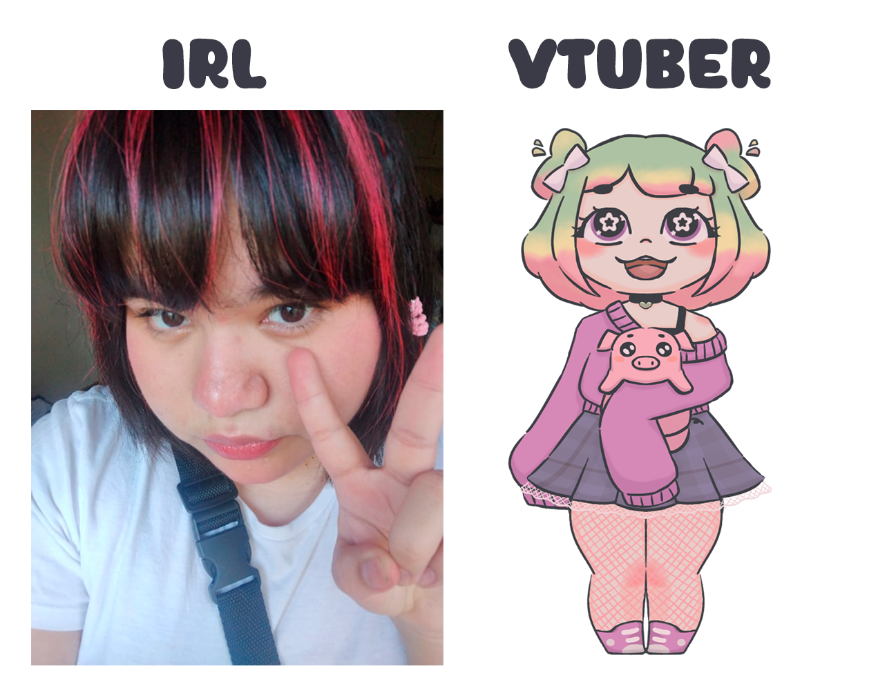 IRL VS VTUBER .png
