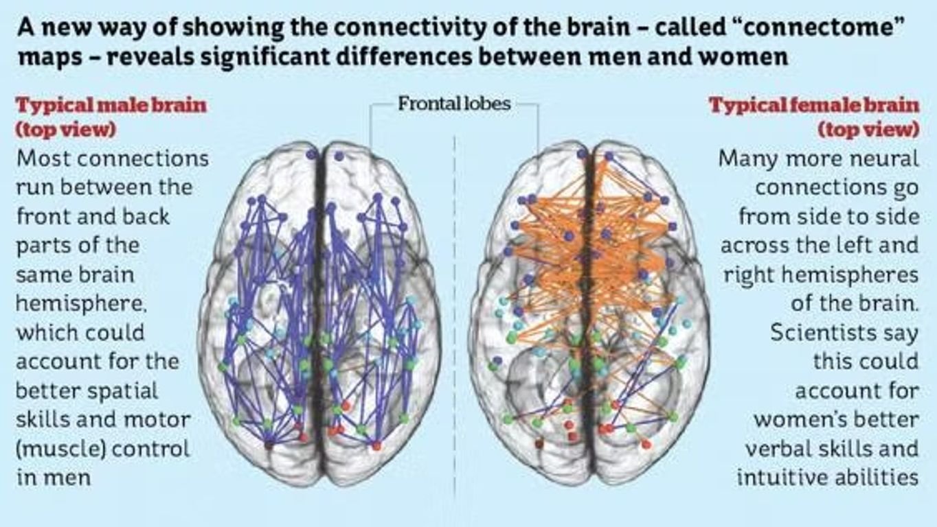 Gender_Men_Women_Brain.jpg