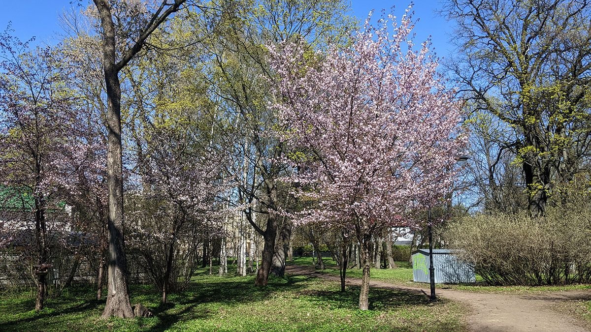 PXL_20230501_121733337.jpg