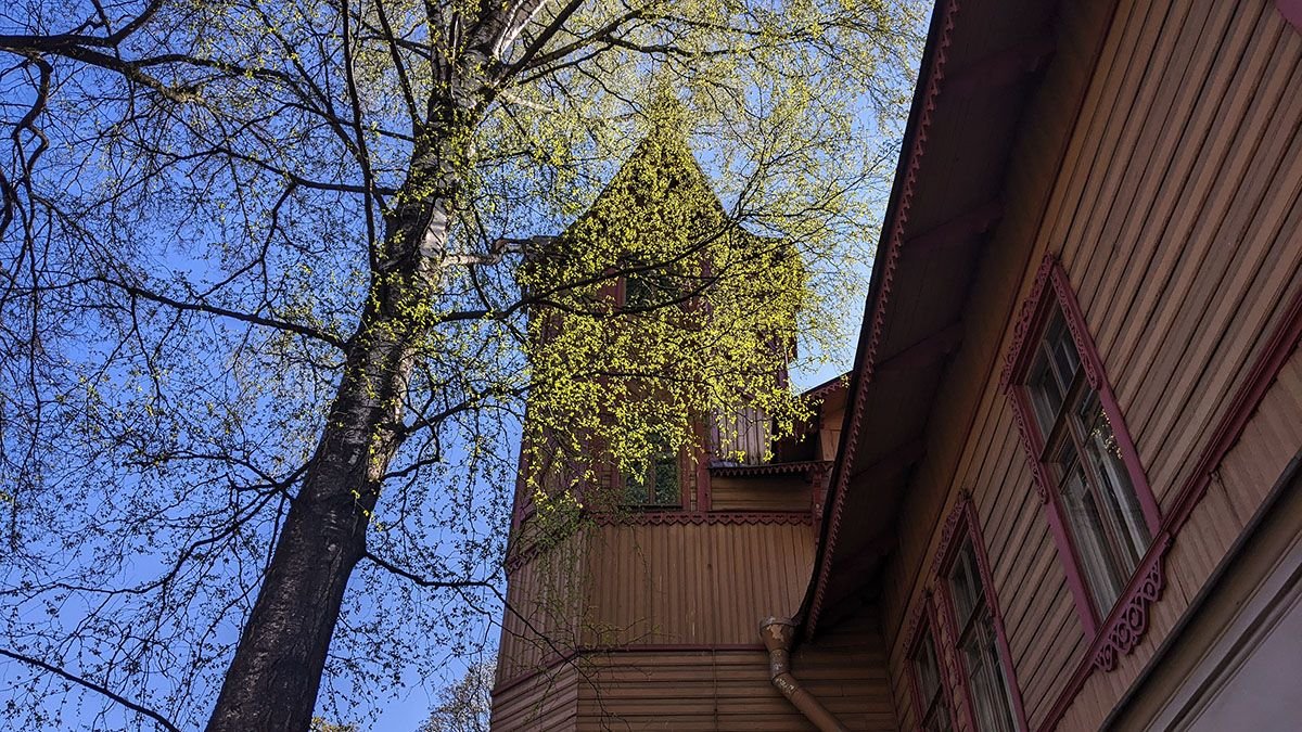 PXL_20230501_122807984.jpg