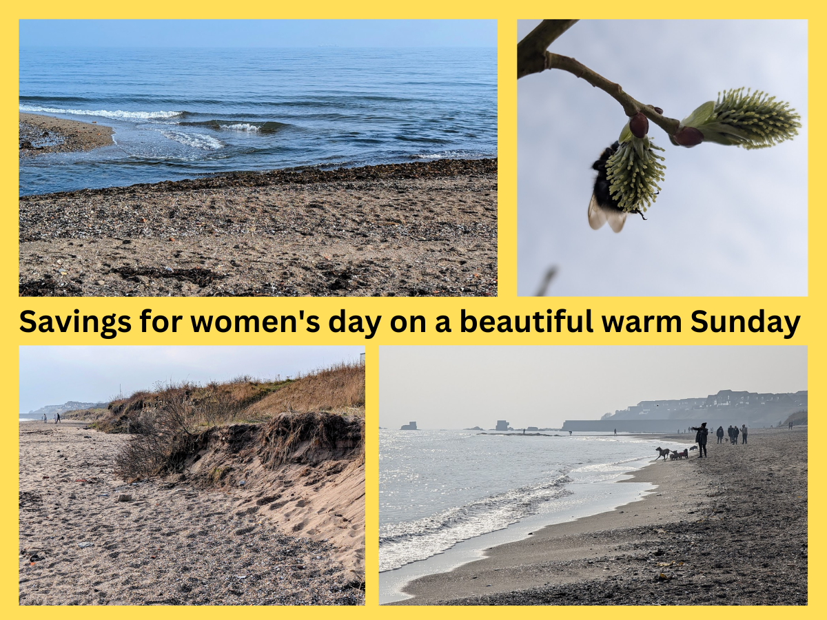 Savings for women's day on a beautiful warm Sunday .png