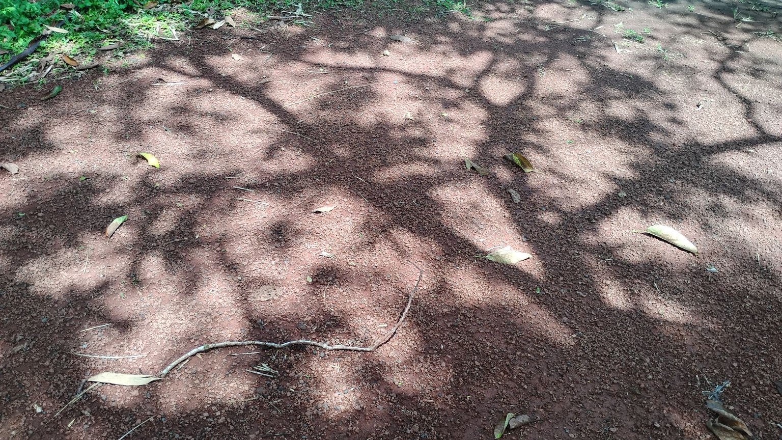 1000017880.jpg