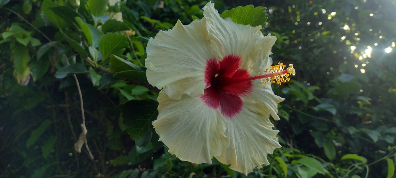 IMG_20230424_171842691_HDR.jpg
