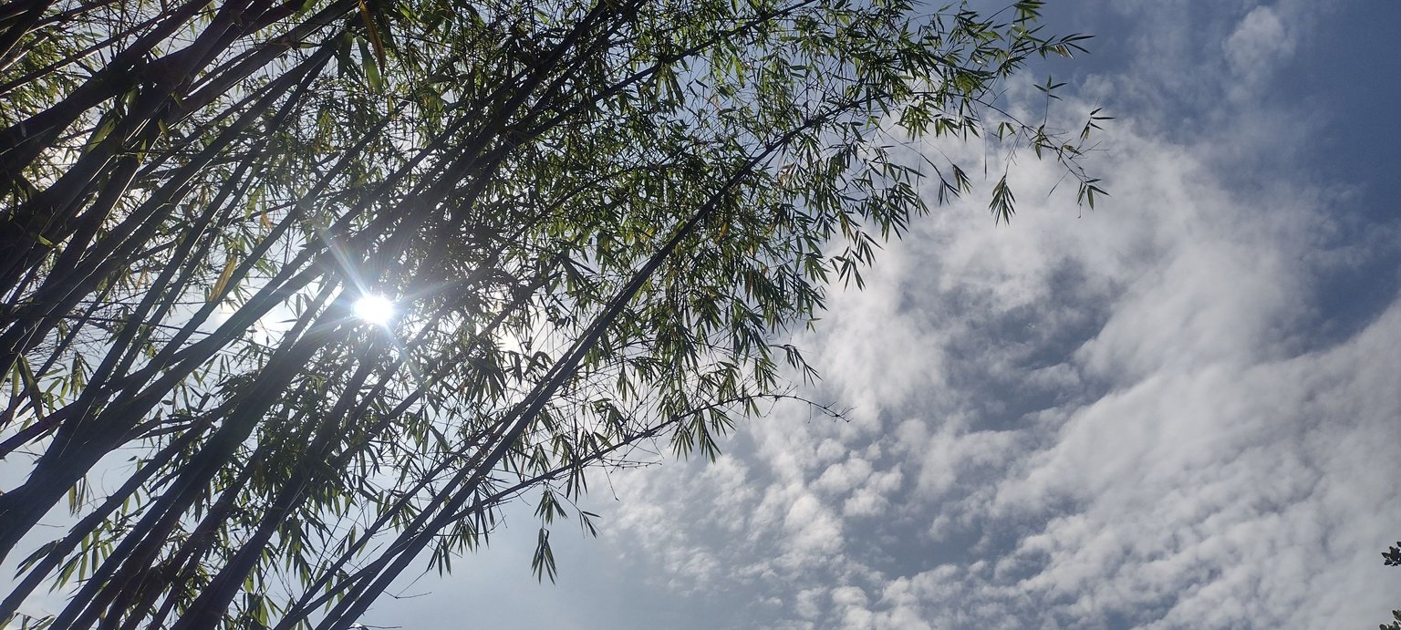 IMG_20230424_154735145_HDR.jpg